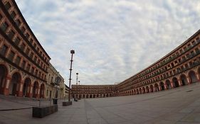 Rosmarinus Centro